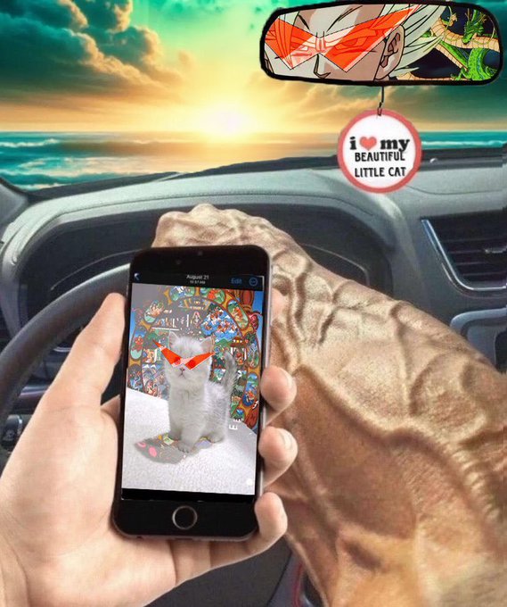 $SWAG meme: cat wearing red $SWAG glasses looking at a phone in a car